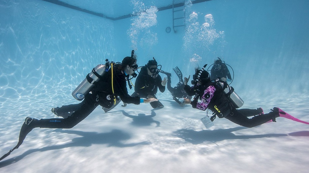 Try Scuba Diving ' Pool '