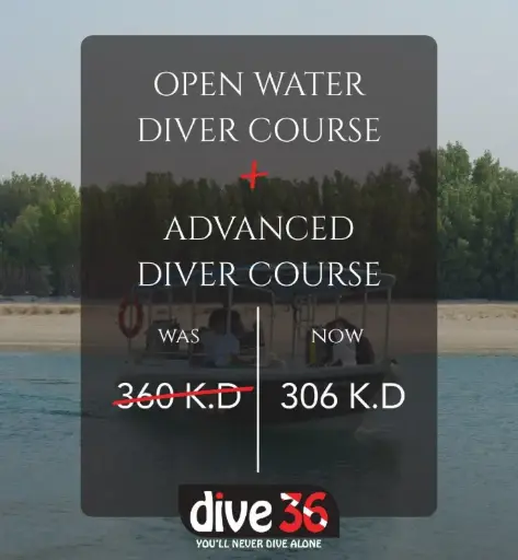 Open Water Diver Course + Advanced Diver Course
