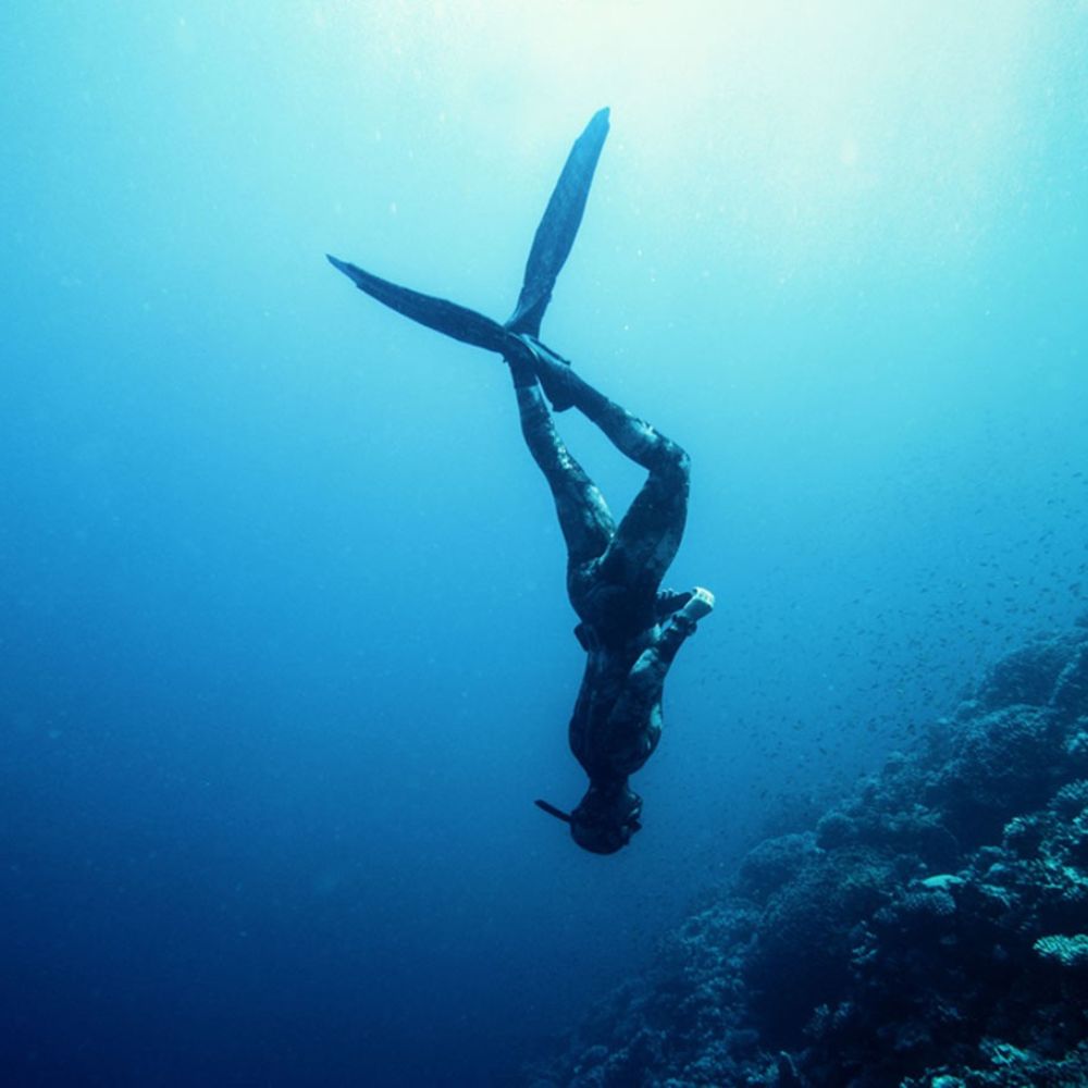 Freediver Course 