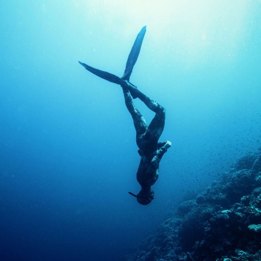 Freediver Course 