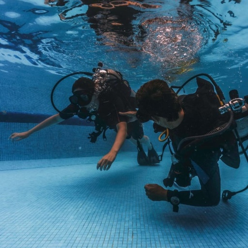 Try Scuba Diving ' Pool '